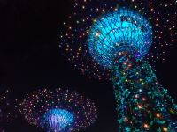 Supertrees, Singapur