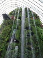 Cloud Forest, Singapur