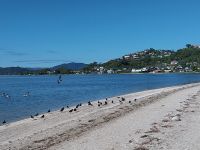 Strand Tairua, Neuseeland