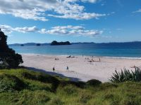Hahei Beach, Neuseeland
