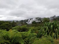 Te Puia, Rotorua, Neuseeland