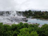 Te Puia, Rotorua, Neuseeland