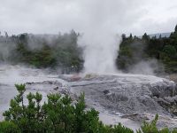 Te Puia, Rotorua, Neuseeland