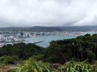 Blick auf Wellington, Neuseeland