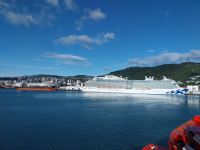 Fahrt zur Südinsel, Wellington, Neuseeland