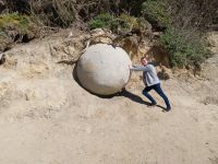 Moeraki Boulders, Neuseeland