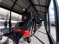 ausgestellte Lok, Dunedin, Neuseeland