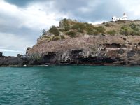 Schifffahrt auf der Monarch, Otago-Halbinsel, Neuseeland