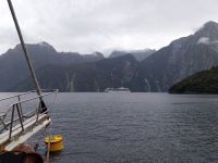 Milford Sound, Neuseeland
