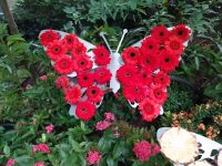 Schmetterlings-Garten, Singapur