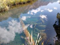 Mirror Lake, Neuseeland