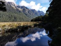 Mirror Lake, Fjordland Nationalpark, Neuseeland