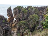 Pancake Rocks, Neuseeland