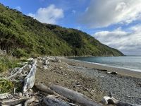 Kapiti Island 