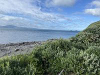 Kapiti Island 