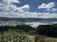 Wellington 