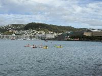 Wellington 