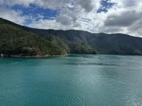 Fahrt zur Südinsel (6).JPEG