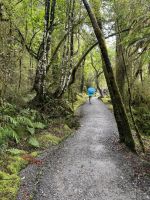 Lake Matheson 