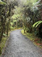 Lake Matheson 