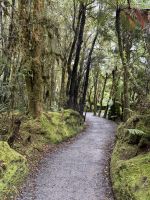 Lake Matheson 