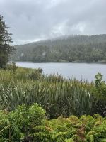 Lake Matheson 