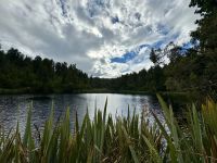 Lake Matheson 