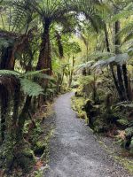 Lake Matheson 