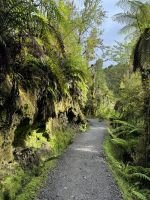 Lake Matheson 