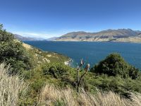 Lake Wanaka 