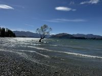 Lake Wanaka 