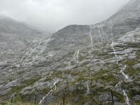 Fiordland 