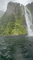 Fiordland