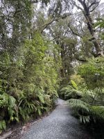 Fiordland 