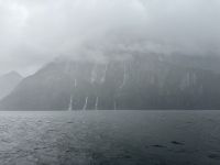 Milford Sound 