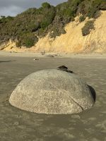 Moeraki Boulders 