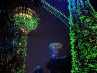 Supertrees und Skywalk