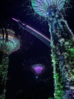 Lichtershow bei den Supertrees
