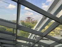 Blick auf die Supertrees