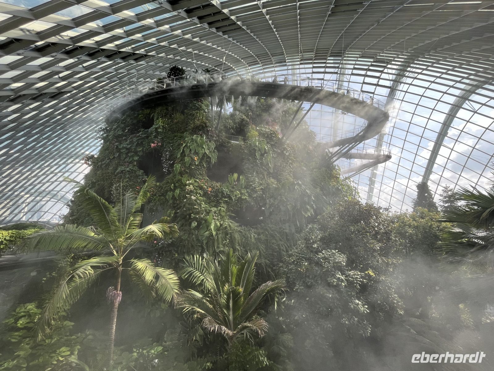 Cloud Forest 