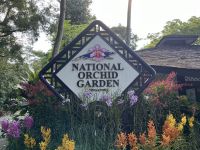Orchideengarten von Singapur