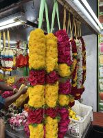 Blumen im indischen Viertel