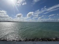 Am Hafen von Auckland