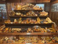 Bernstein im Kauri Museum