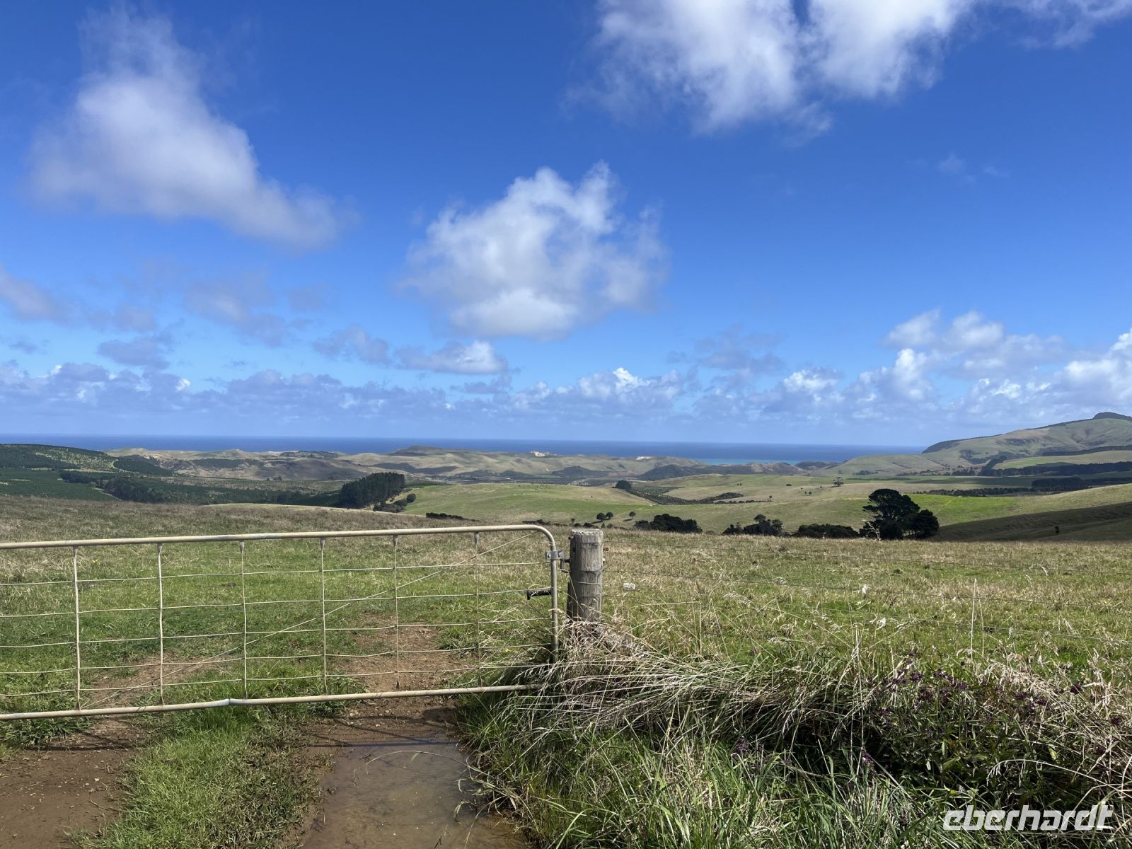 Landschaft im Northland