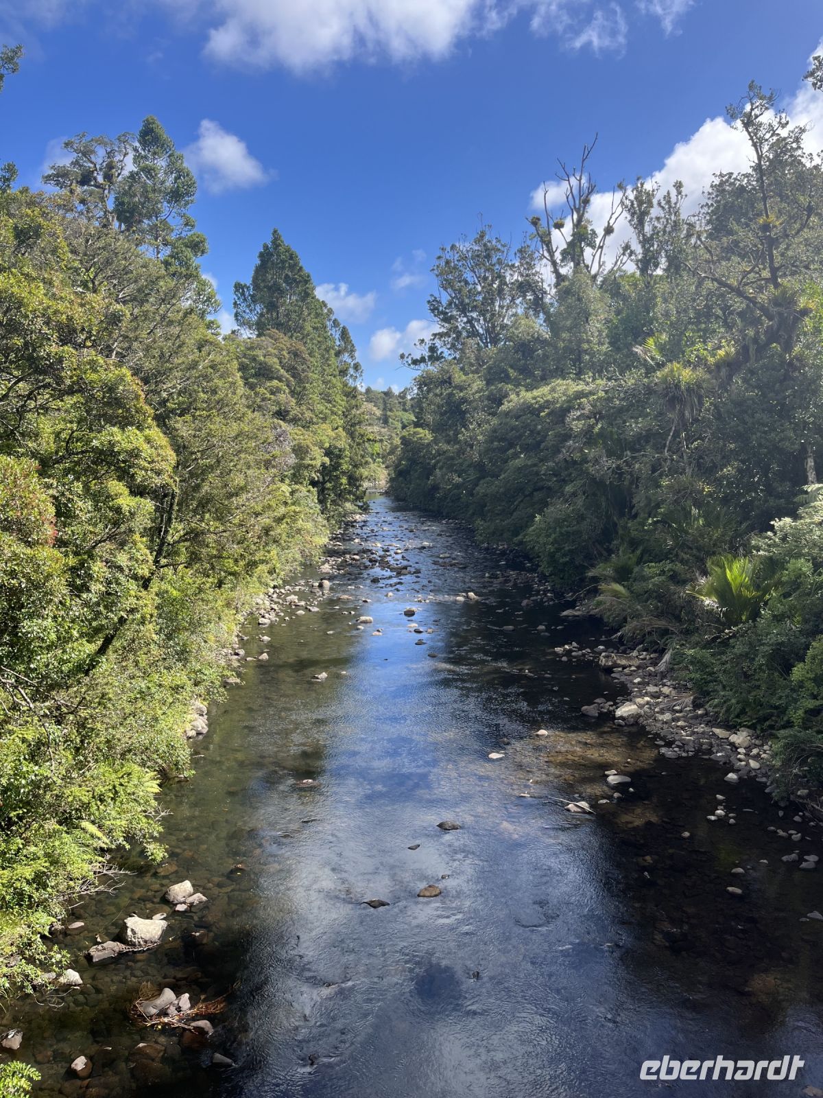 Waipoua River