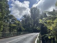 Brücke über den Waipoua River