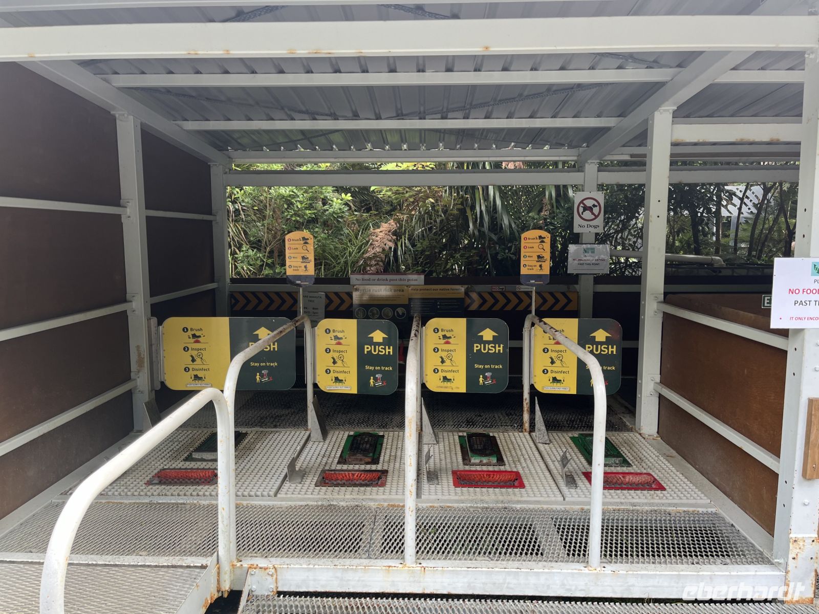 Schuh-Desinfektion am Tane Mahuta