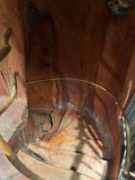 Wendeltreppe in Kauri-Baum