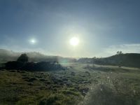 Nebel auf der Fahrt nach Auckland